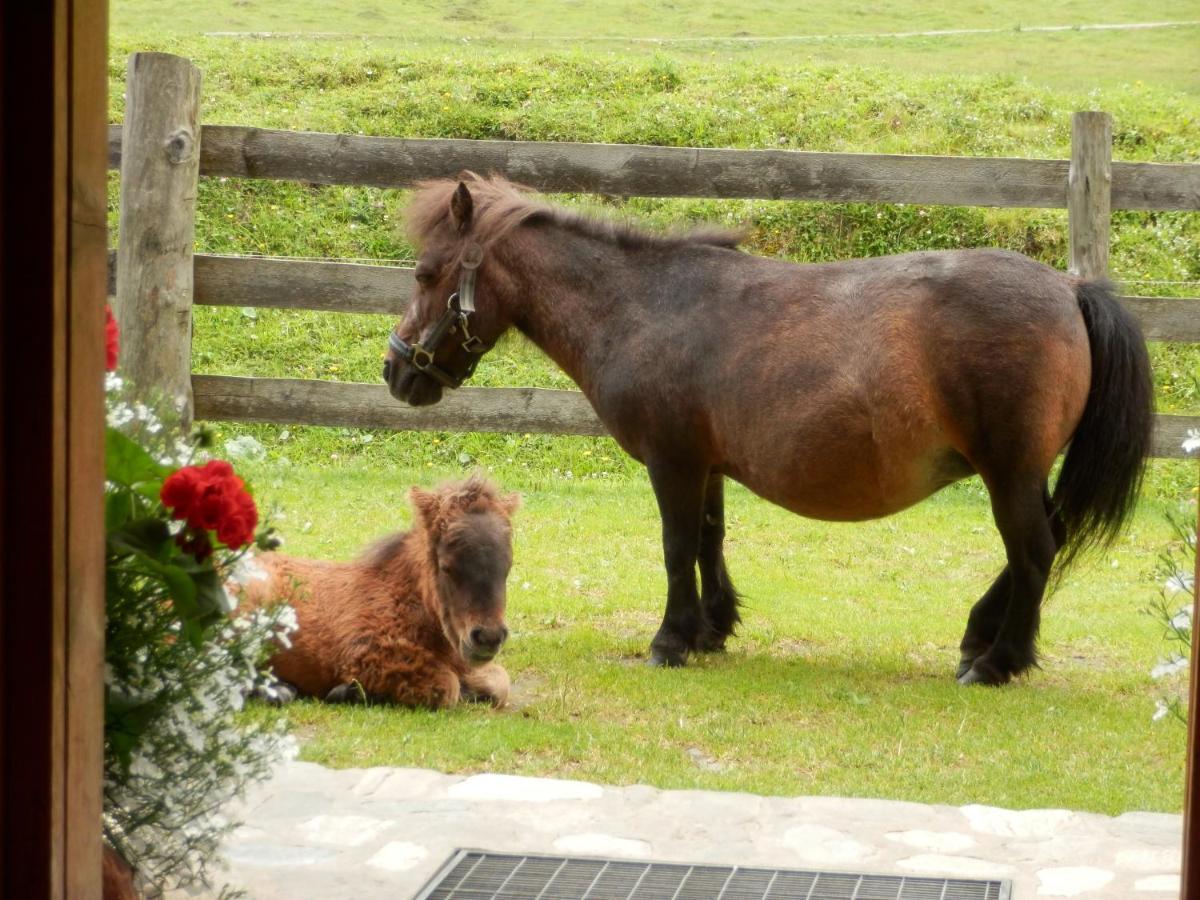 Gollehenhof Apartman Sankt Johann im Pongau Kültér fotó